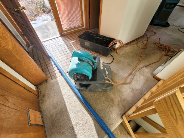 Best Flooded house restoration  in Westvle, IL