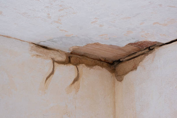 Best Ceiling water damage repair  in Westvle, IL