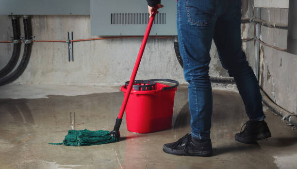 Best Sewage cleanup and water damage restoration  in Westvle, IL