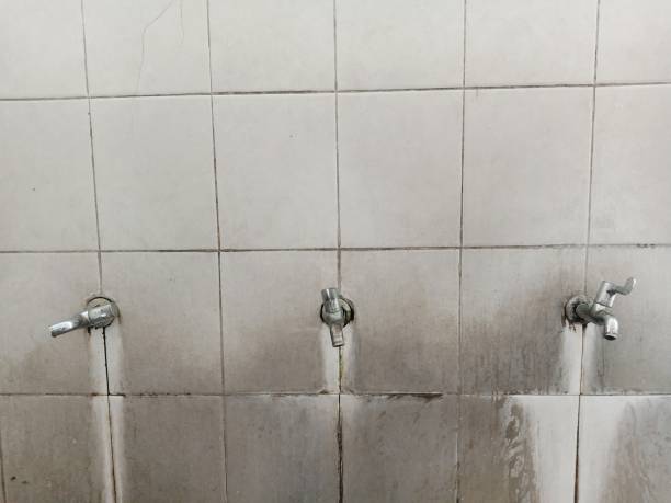 Trusted Westville, IL Water damage restoration Experts