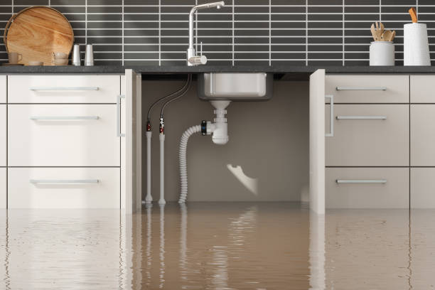 Best Flood restoration services  in Westvle, IL