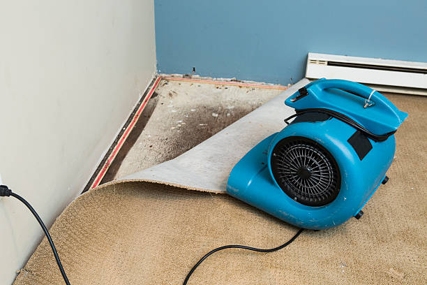 Best Water damage mitigation services  in Westvle, IL